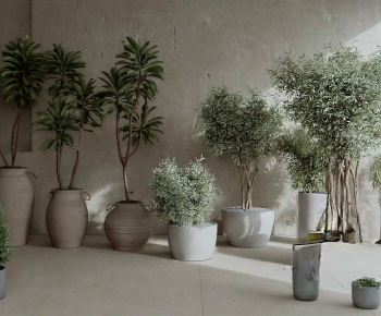Modern Ground Green Plant Potted Plants-ID:193910685