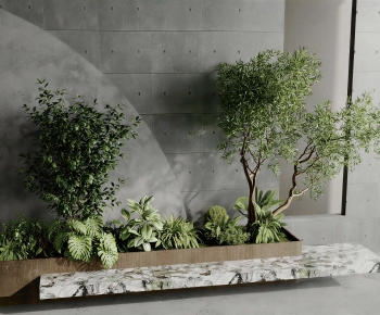 Modern Plant Landscaping-ID:999921082