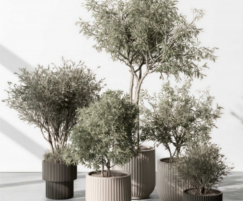 Modern Ground Green Plant Potted Plants-ID:956084016