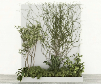 Modern Plant Wall-ID:809769647