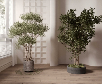 Modern Ground Green Plant Potted Plants-ID:167244912