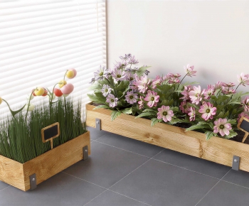 Modern Flower Bed, Flower Bowl, Flower Box-ID:160539281
