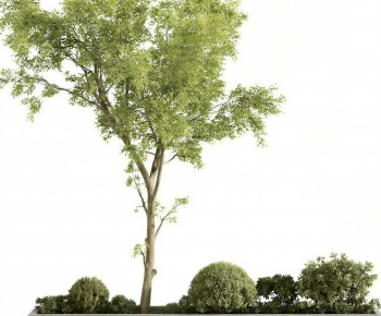 Modern Tree Pool-ID:742635971