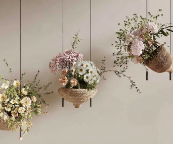 Modern Chlorophytum Comosum-ID:358625897