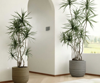 Modern Ground Green Plant Potted Plants-ID:126779168