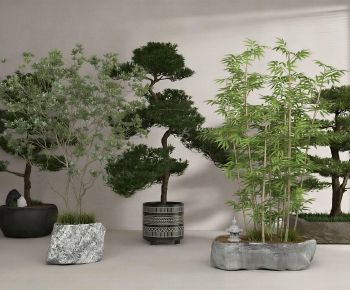 New Chinese Style Ground Green Plant Potted Plants-ID:792192946