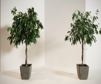 Modern Ground Green Plant Potted Plants-ID:304420071