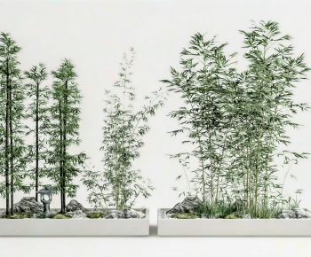 Modern Plant Landscaping-ID:892091047