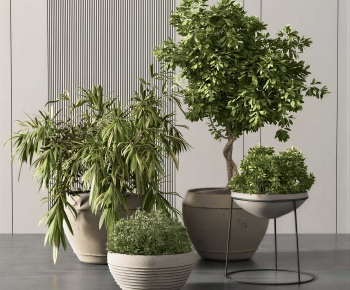 Modern Ground Green Plant Potted Plants-ID:710019112