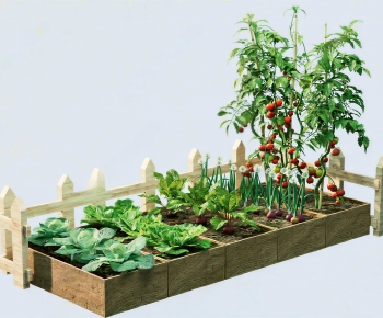 Modern Crop-ID:953229906