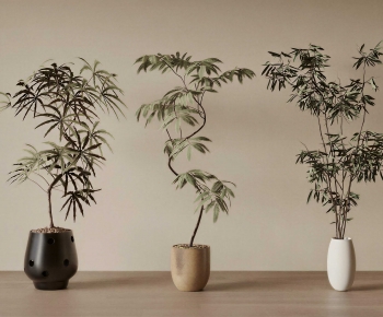 Wabi-sabi Style Ground Green Plant Potted Plants-ID:833442934