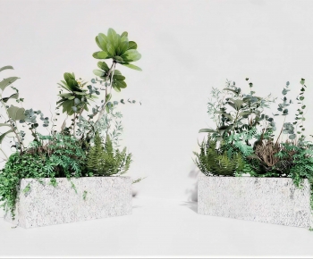 Modern Flower Bed, Flower Bowl, Flower Box-ID:205477957