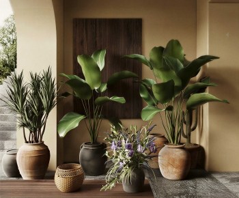 Wabi-sabi Style Ground Green Plant Potted Plants-ID:989051107