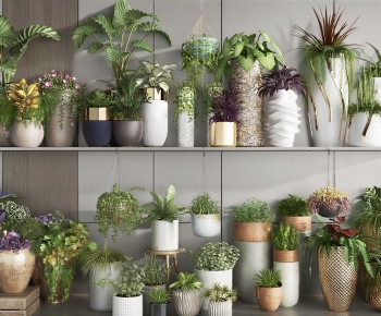 Modern Potted Green Plant-ID:634224892