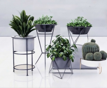 Modern Ground Green Plant Potted Plants-ID:157922035