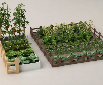 Modern Crop-ID:148139008