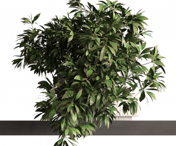 Modern Aquatic Green Plant-ID:548795948