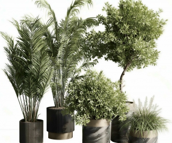 Modern Ground Green Plant Potted Plants-ID:722413063