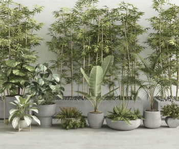 Modern Ground Green Plant Potted Plants-ID:309274916