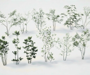 Modern Tree-ID:707613956