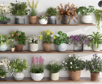 Modern Desktop Plant-ID:973150789