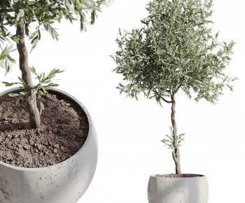 Modern Ground Green Plant Potted Plants-ID:459661013