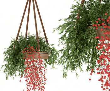 Modern Chlorophytum Comosum-ID:640248063