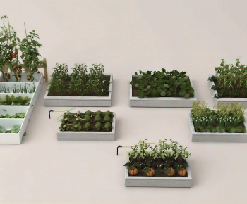 Modern Crop-ID:422201254