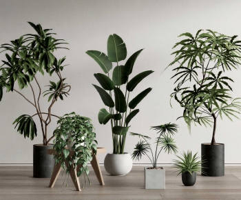 Modern Ground Green Plant Potted Plants-ID:150389727