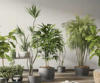 Modern Ground Green Plant Potted Plants-ID:639641053