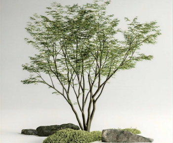 Modern Tree-ID:167485007