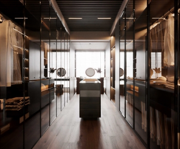 Modern Clothes Storage Area-ID:701565034