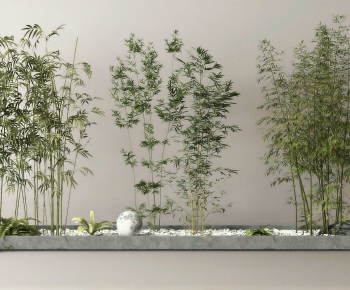 Modern Plant Landscaping-ID:960979945