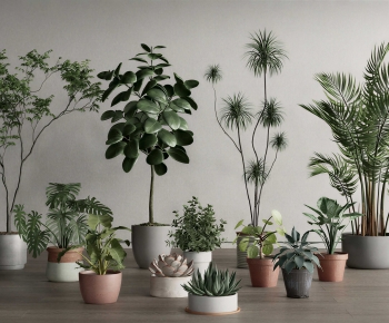 Modern Ground Green Plant Potted Plants-ID:325115925