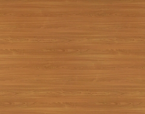 ModernWood Texture