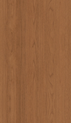 ModernWood Texture