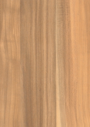 ModernWood Texture
