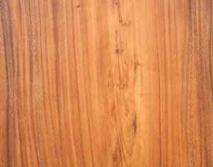 ModernWood Texture