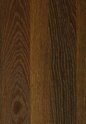ModernWood Texture