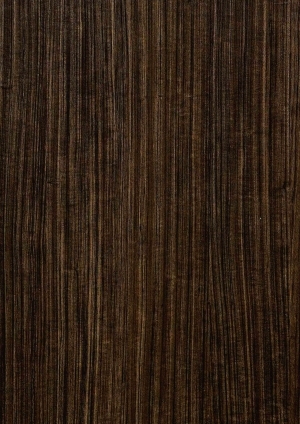 ModernWood Texture