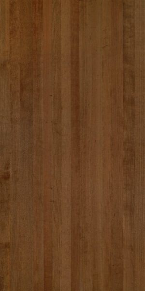ModernWood Texture