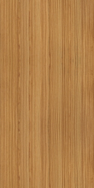 ModernWood Texture