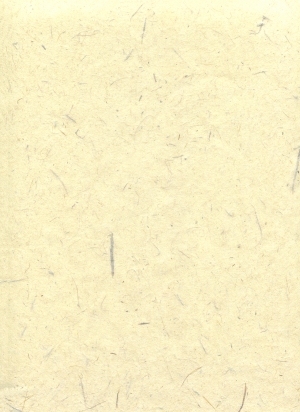 ModernPlywood Texture