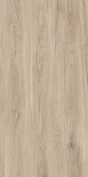 ModernWood Texture