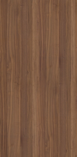 ModernWood Texture