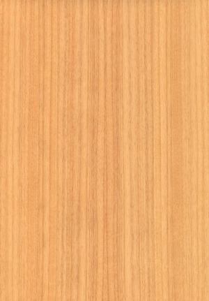 ModernWood Texture