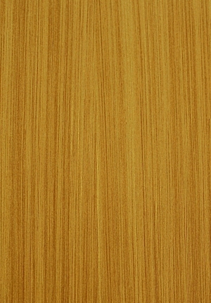 ModernWood Texture