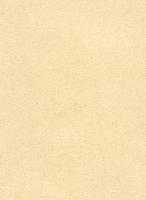 ModernPlywood Texture