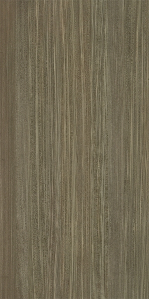 ModernWood Texture