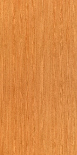 ModernWood Texture